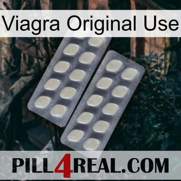 Viagra Original Use 07.jpg